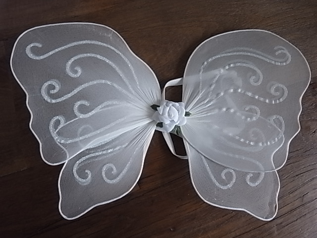 バレエ　チュール　 蝶々羽