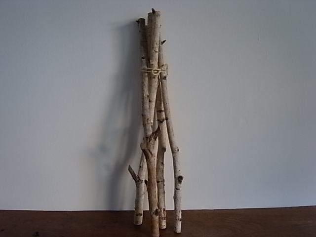 白樺 4本セット