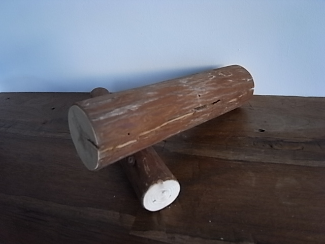 杉の木　枝　全2本