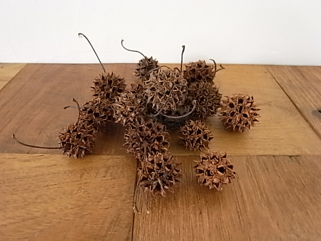 ドライモチーフ 木の実10個セット 全2個