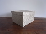 パンダン収納BOX　M