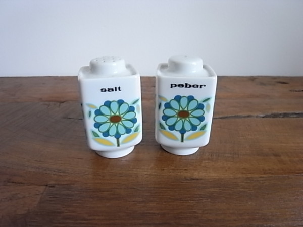 アンティーク　 青花イラスト　 salt & peberセット