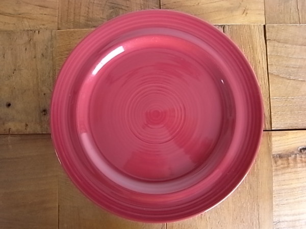 FESTIVALE ディナープレート　 ライン入り　